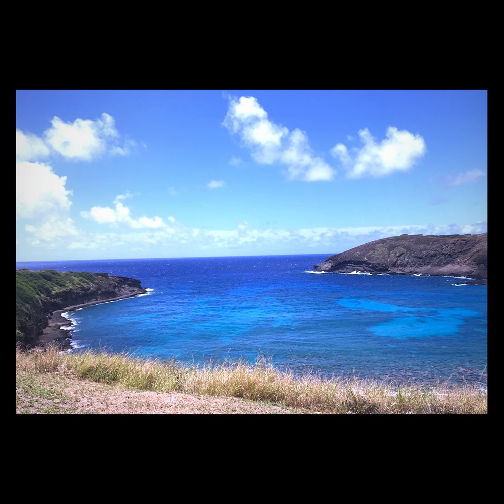 Meet your Posher, Jamie